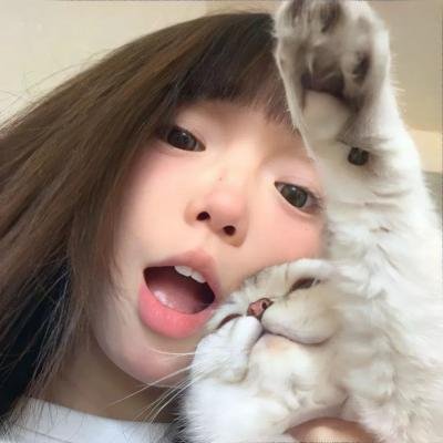 派特森与芬达猫:生日奇闻