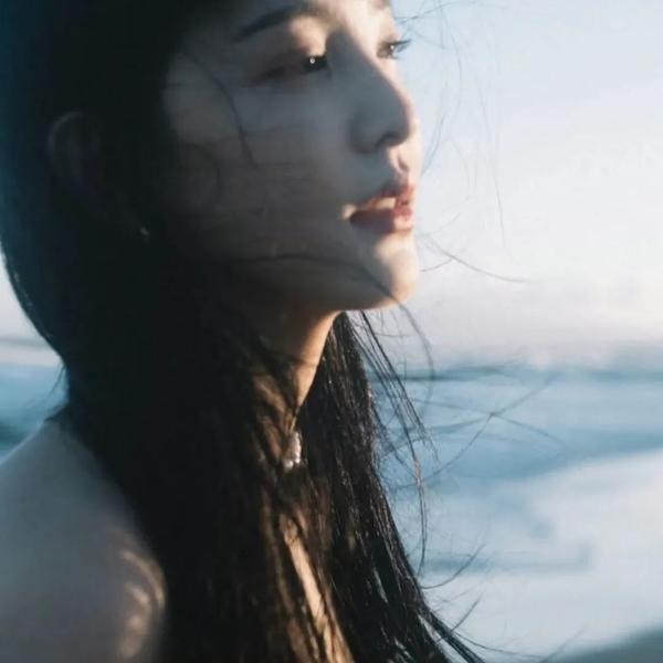 豹