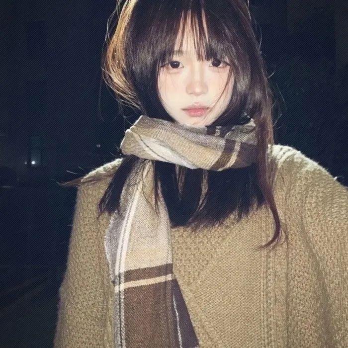 明月山海揽芳华